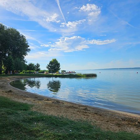 Villa Strokay - Few Minutes Walk From Lake Balaton ケストヘイ エクステリア 写真