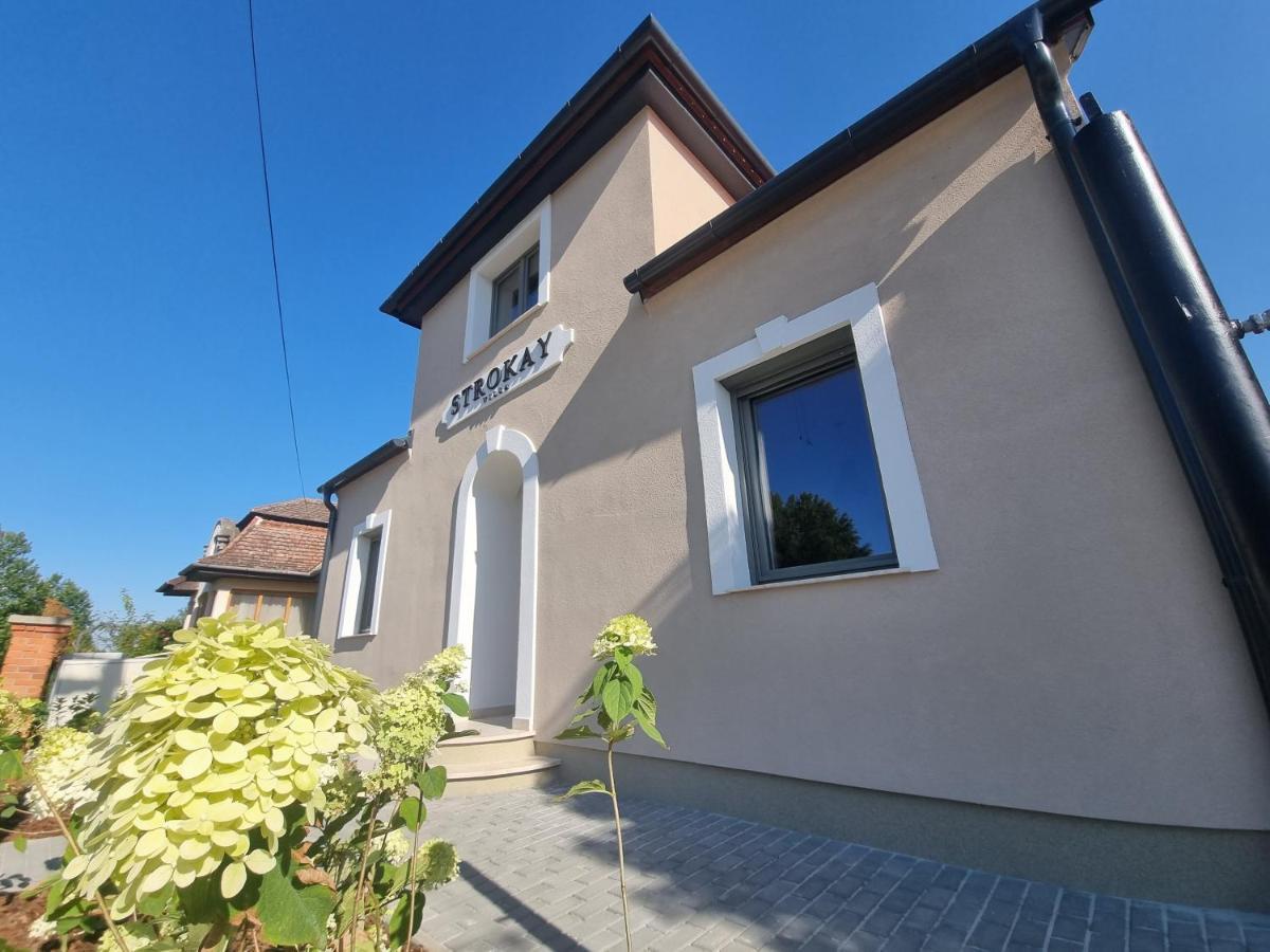 Villa Strokay - Few Minutes Walk From Lake Balaton ケストヘイ エクステリア 写真